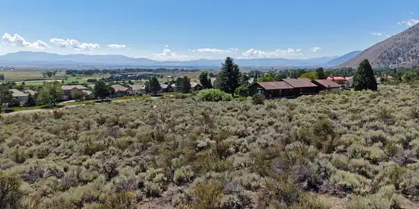 Image 4: Drone12