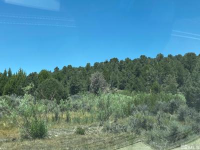 tbd P14 BLM trail (77) Trail