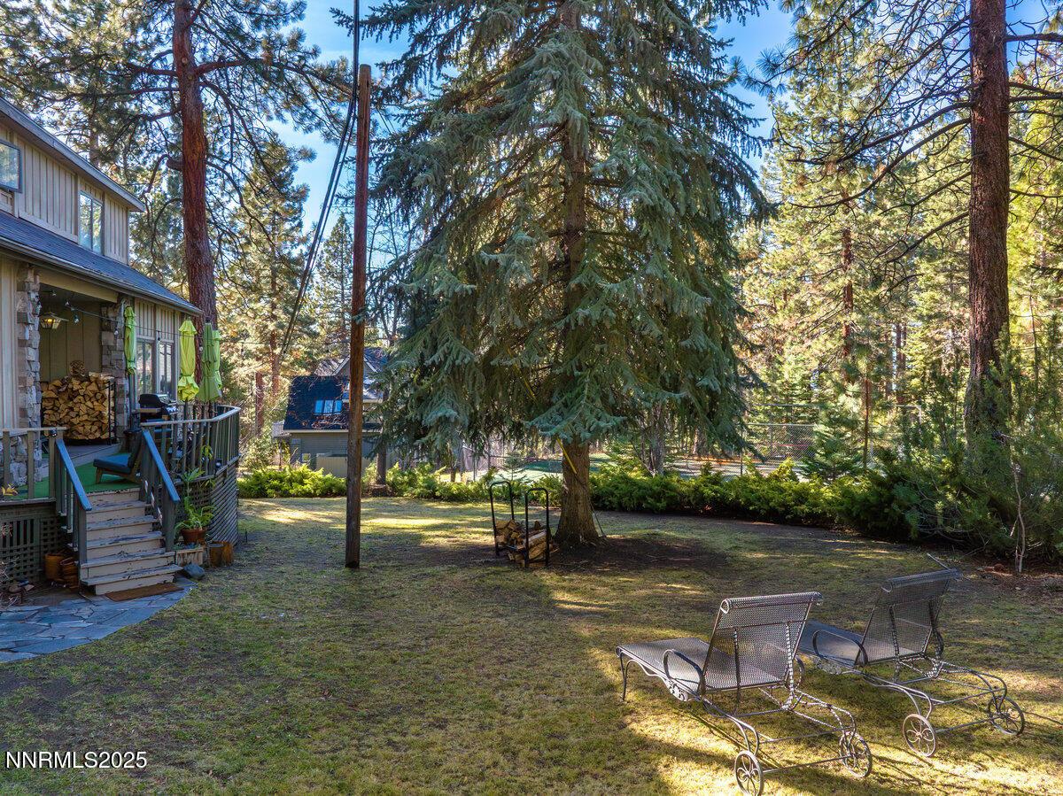 Image 4: Back Yard