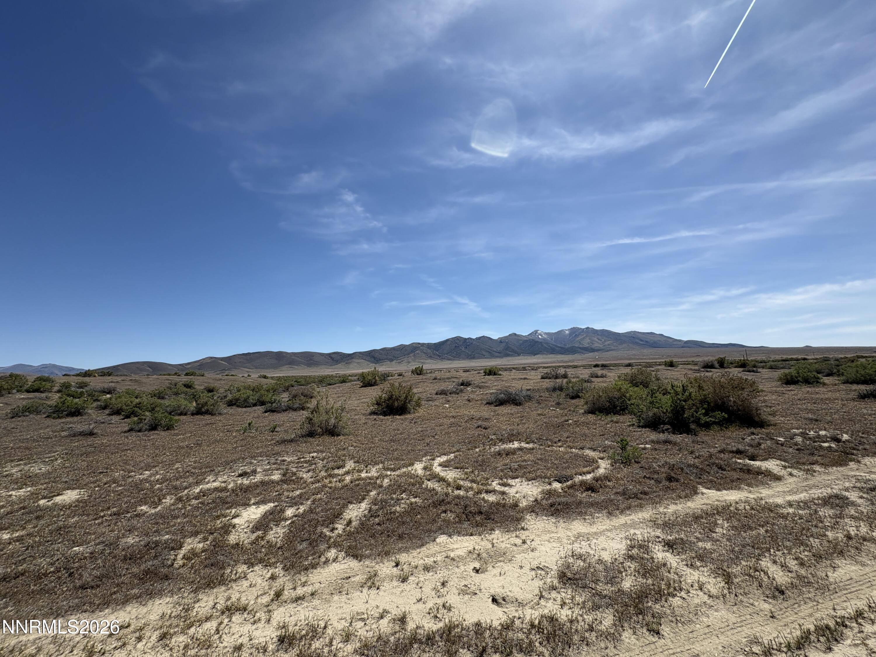 Image 3: IMG_4316