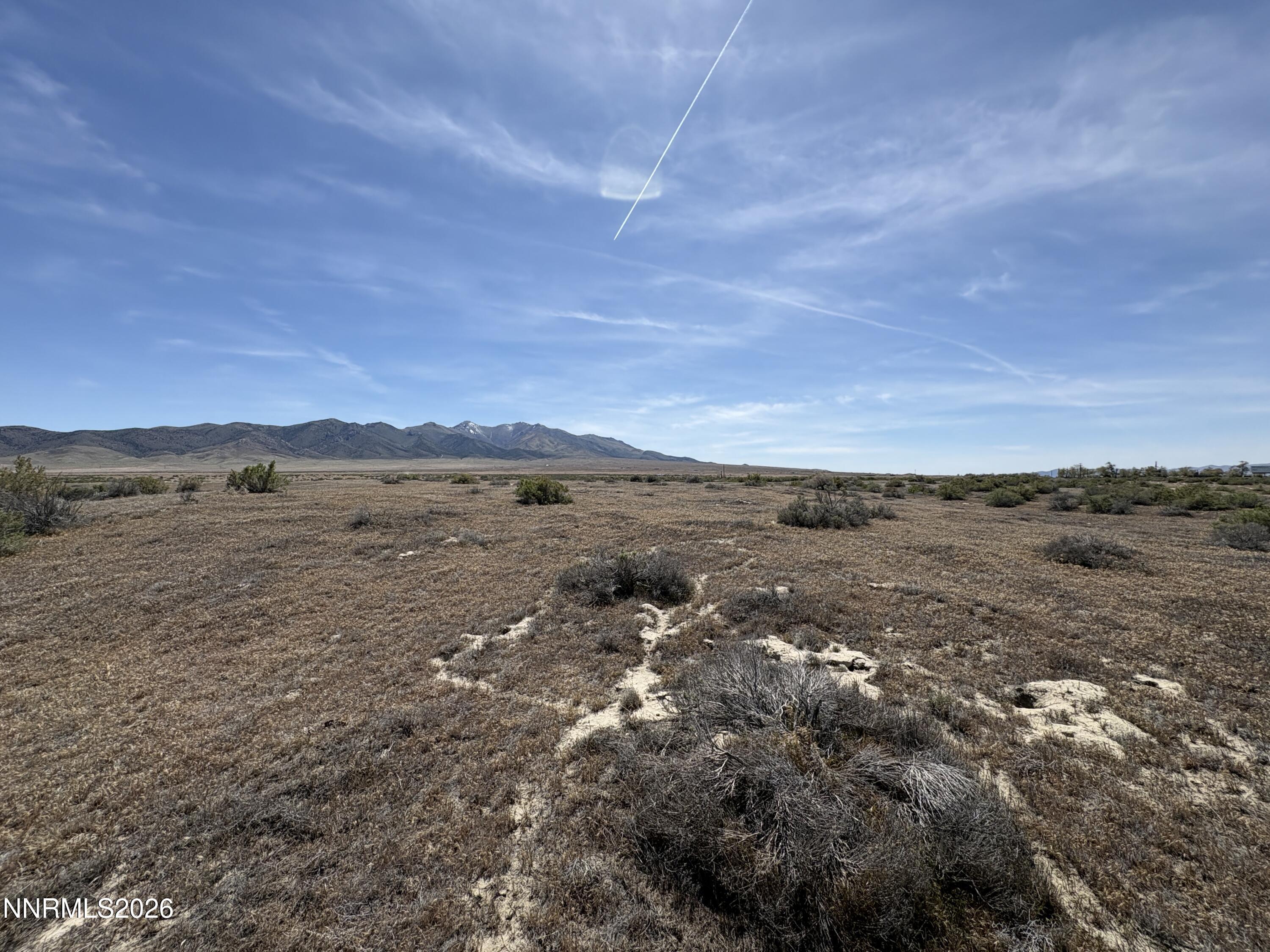 Image 4: IMG_4317