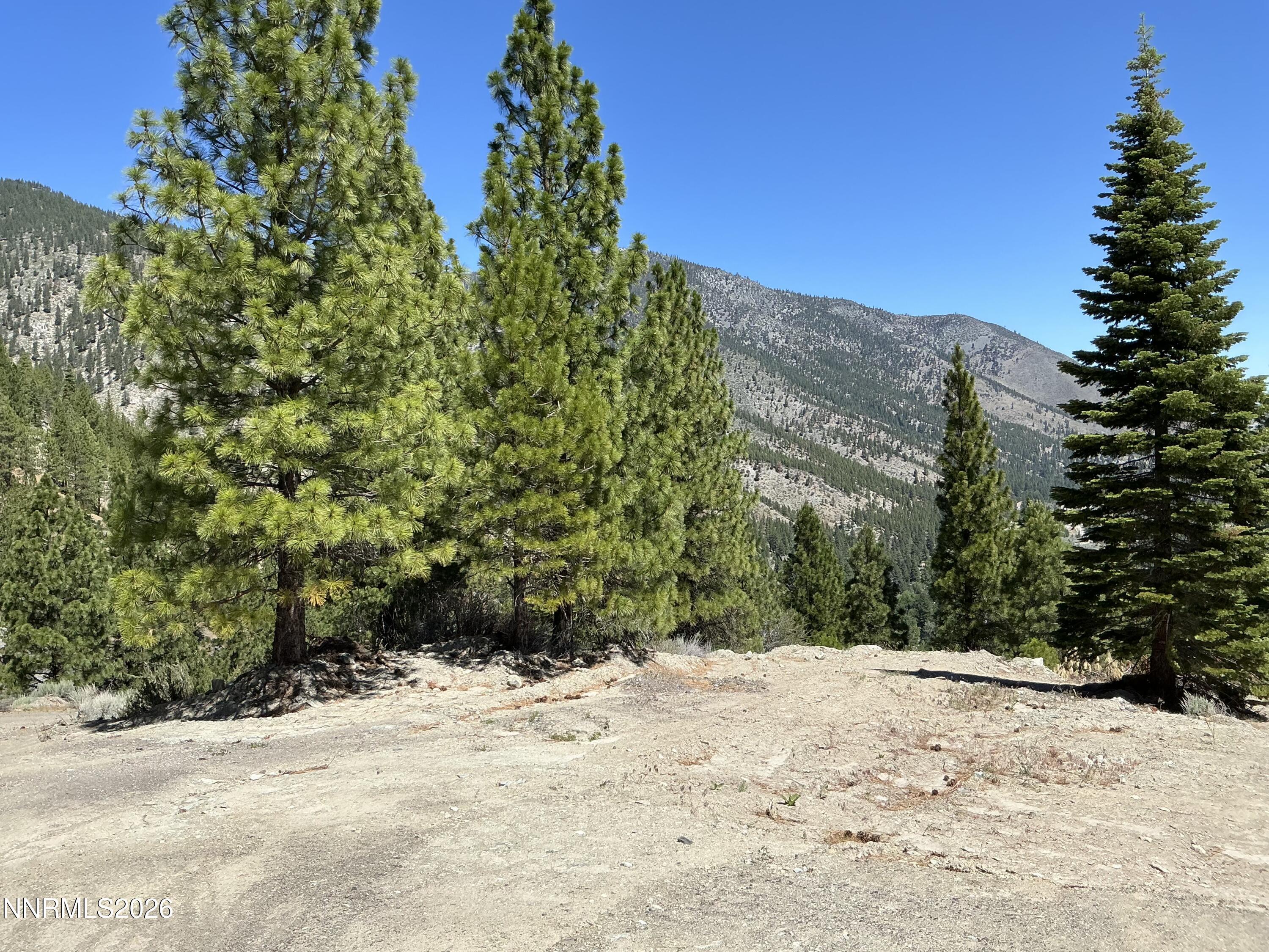 Image 2: IMG_0840