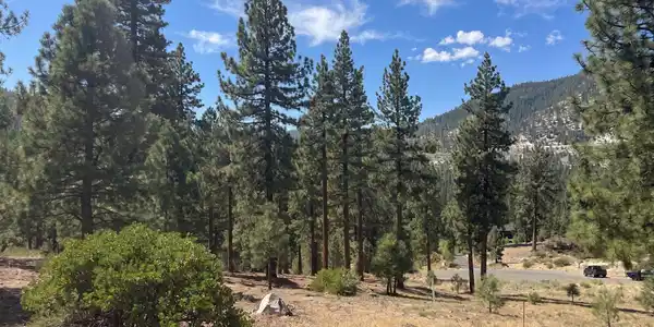 Image 2: Homesite 184