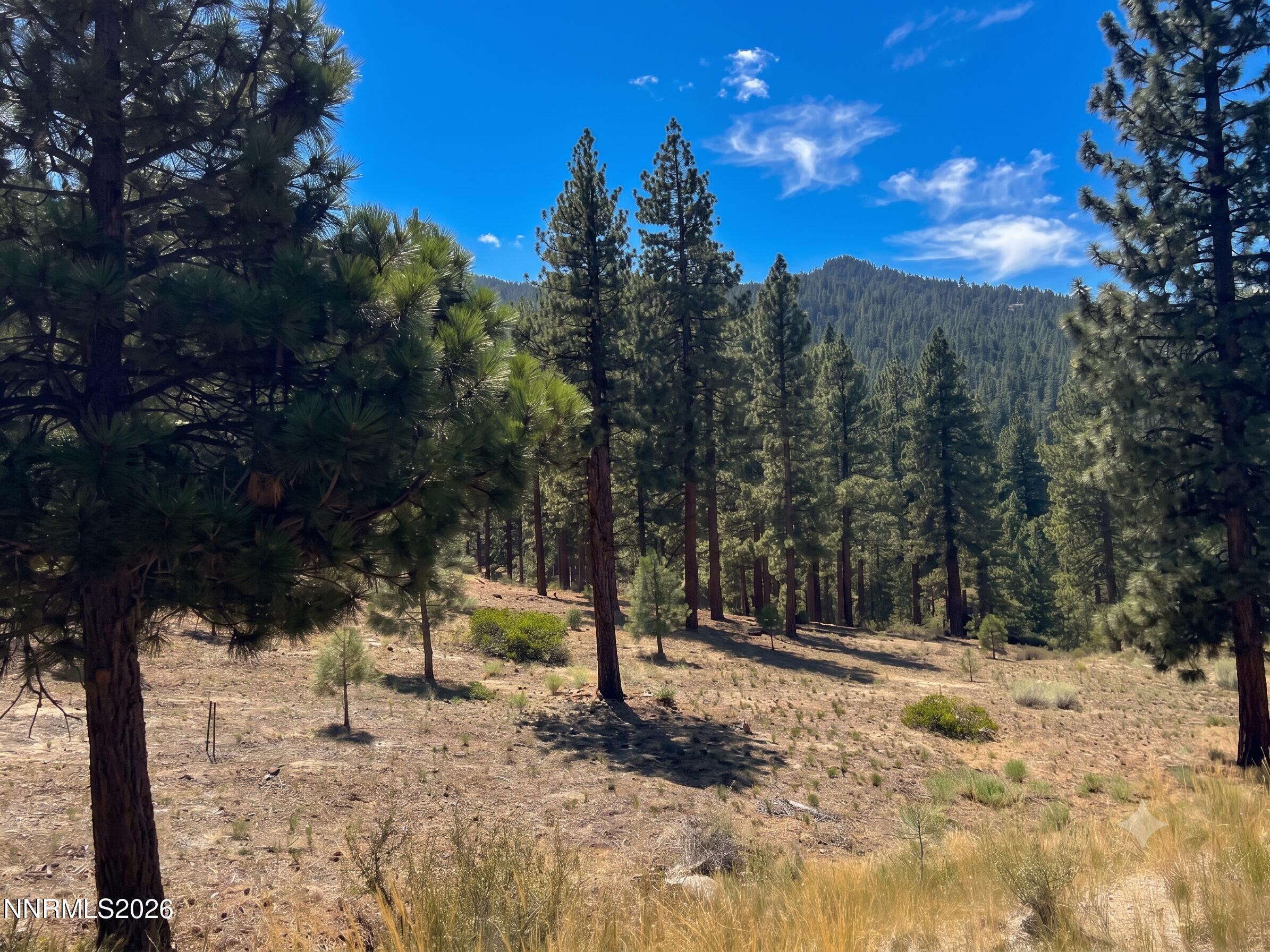 Image 3: Homesite 184