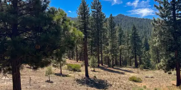 Image 3: Homesite 184