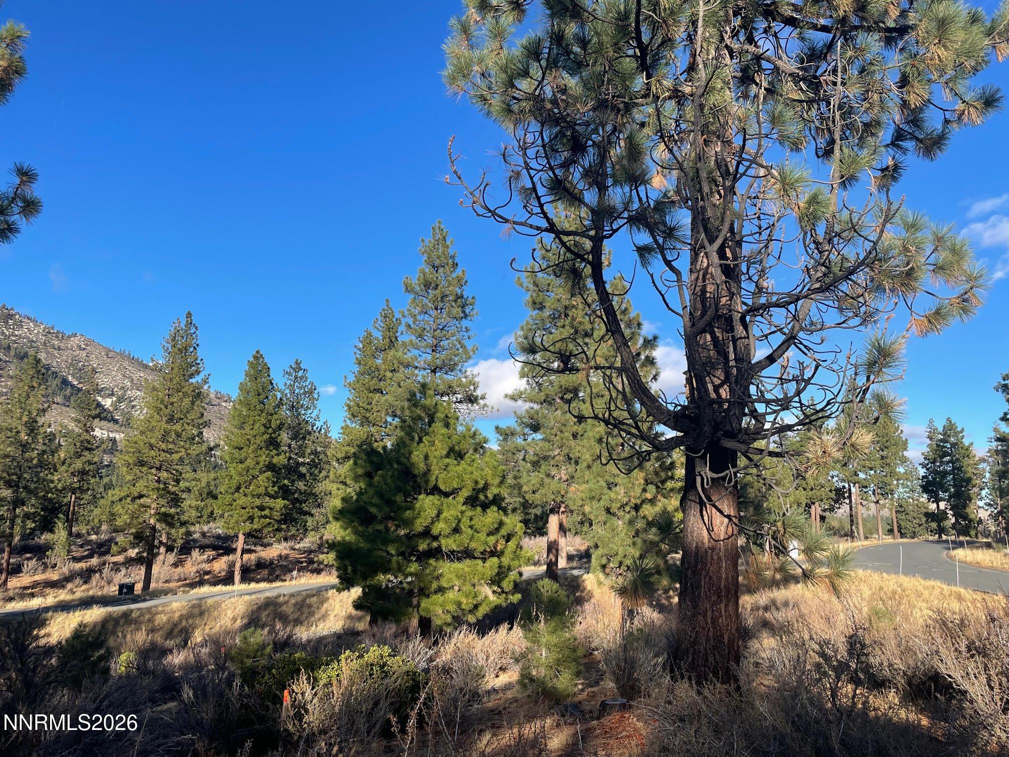 Image 4: Homesite 184