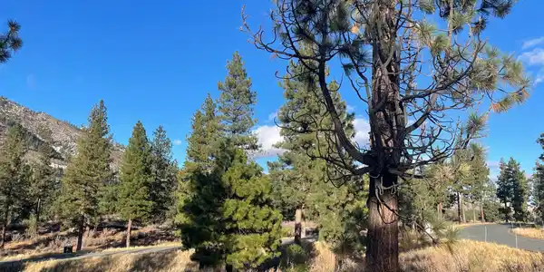 Image 4: Homesite 184
