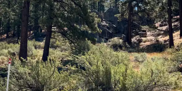 Image 2: Homesite 360