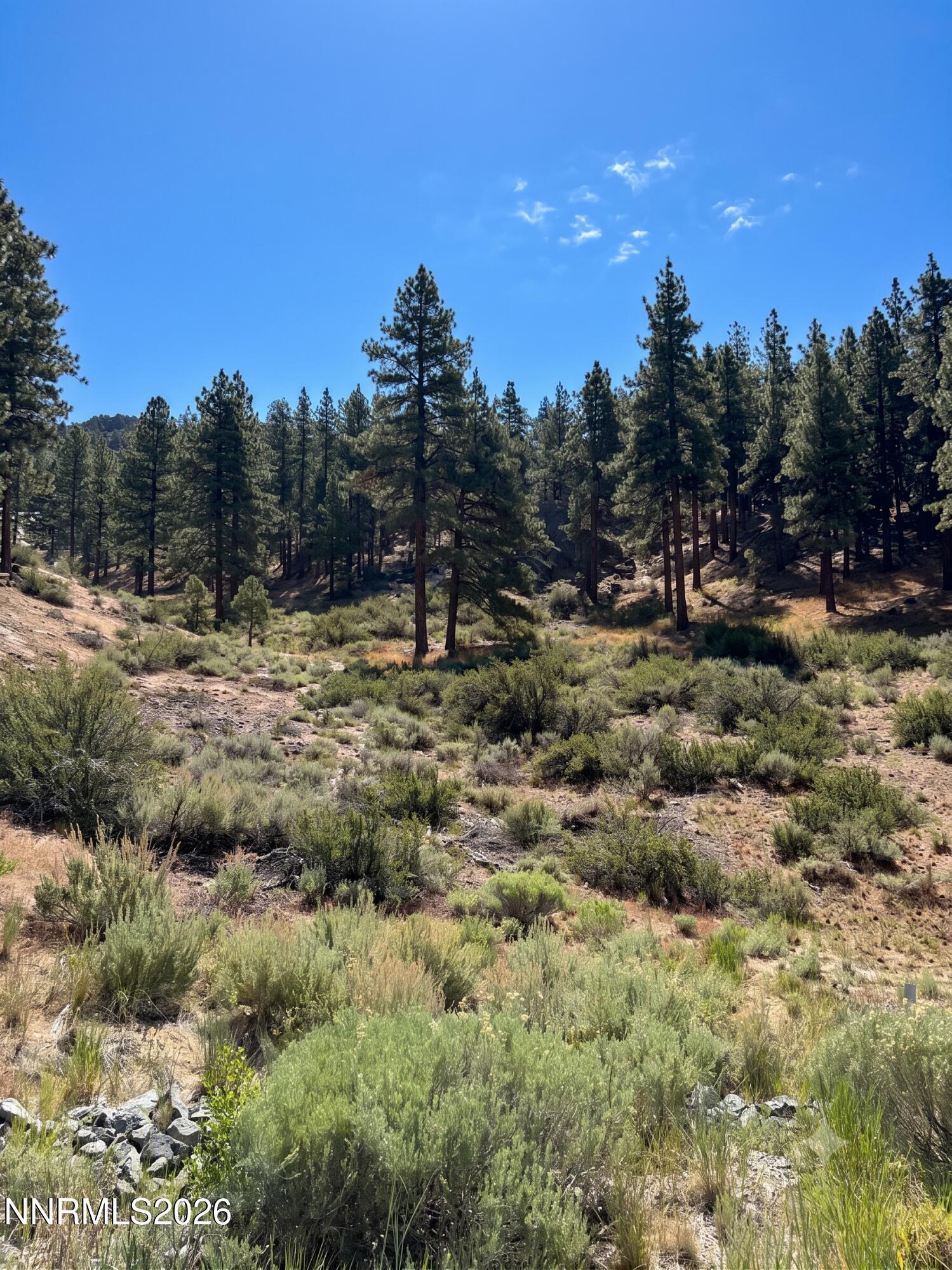 Image 3: Homesite 360