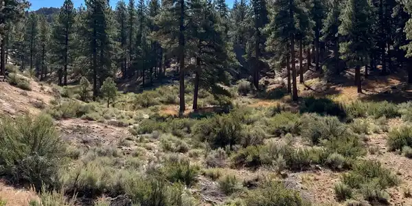 Image 3: Homesite 360