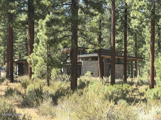 Image 1: Peace in the Pines