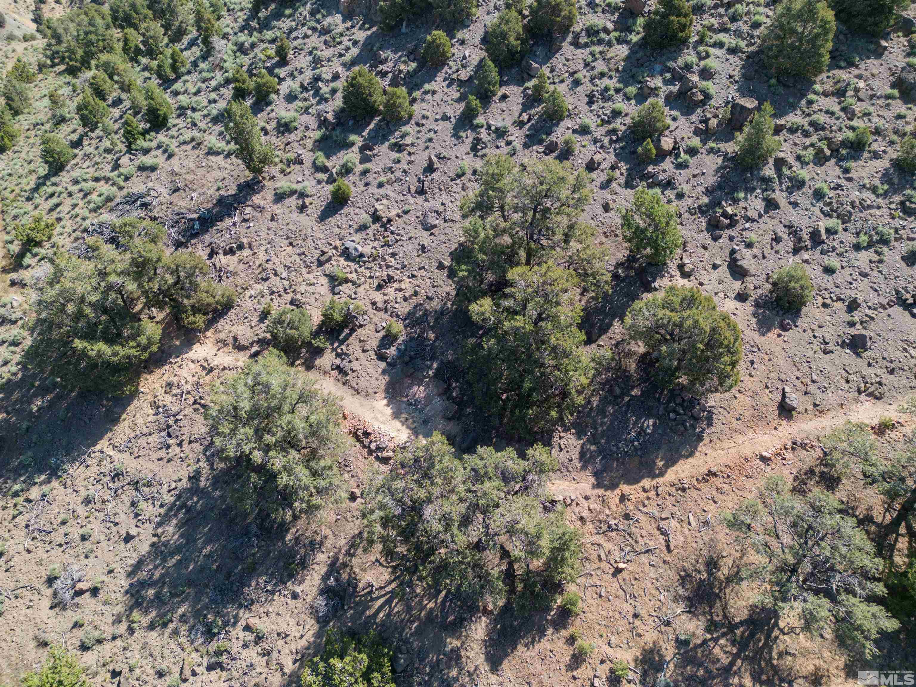 Image 3: Photo 3