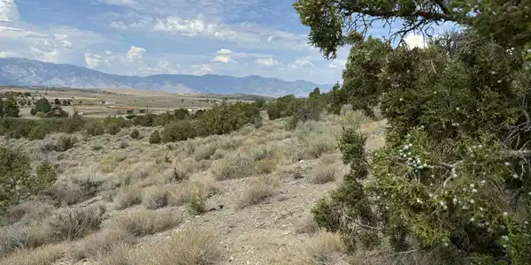 TBD Old Ranch Road