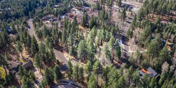 Image 3: 240 Forest Hill Way-11