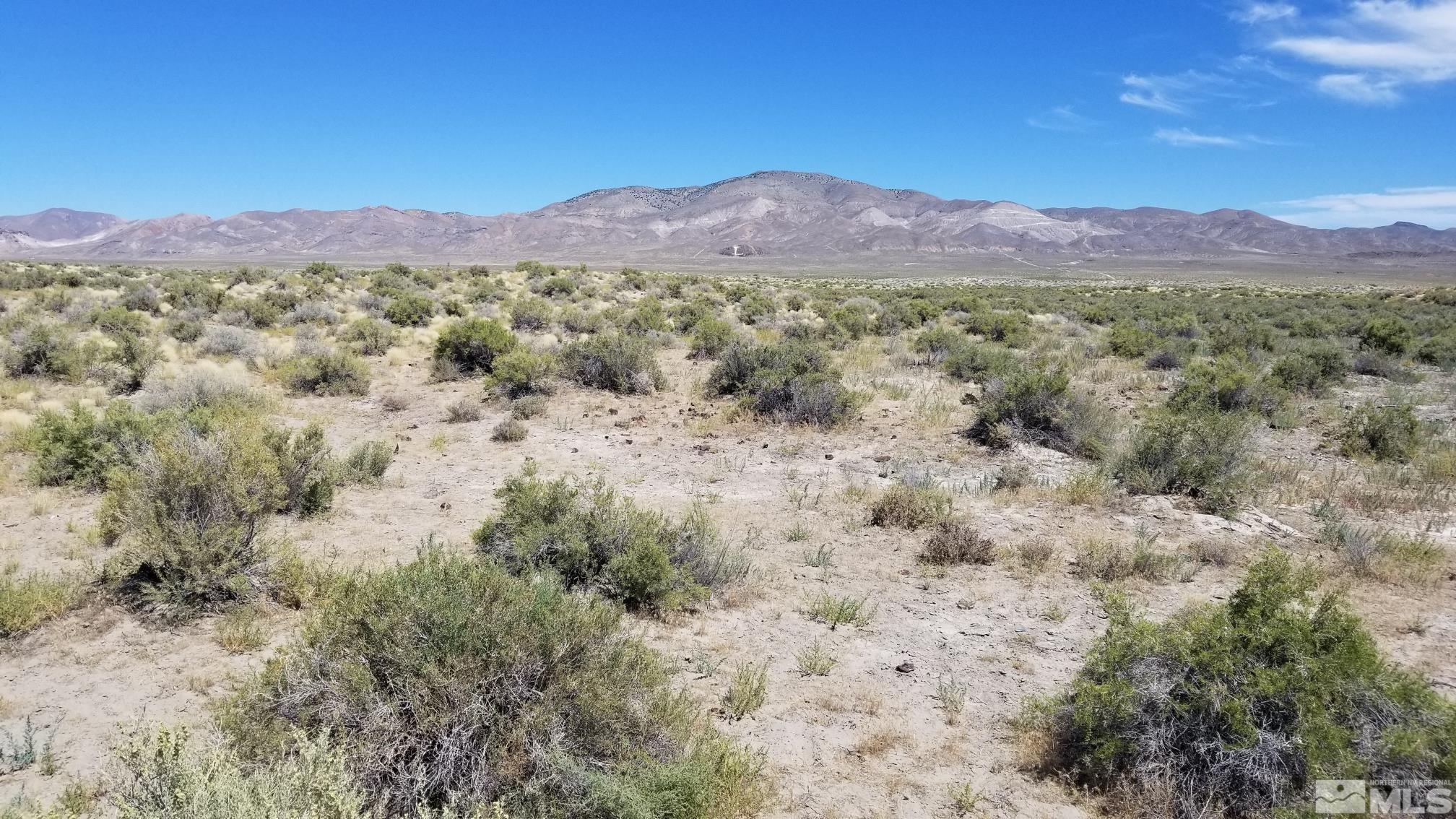 Image 4: Photo 4