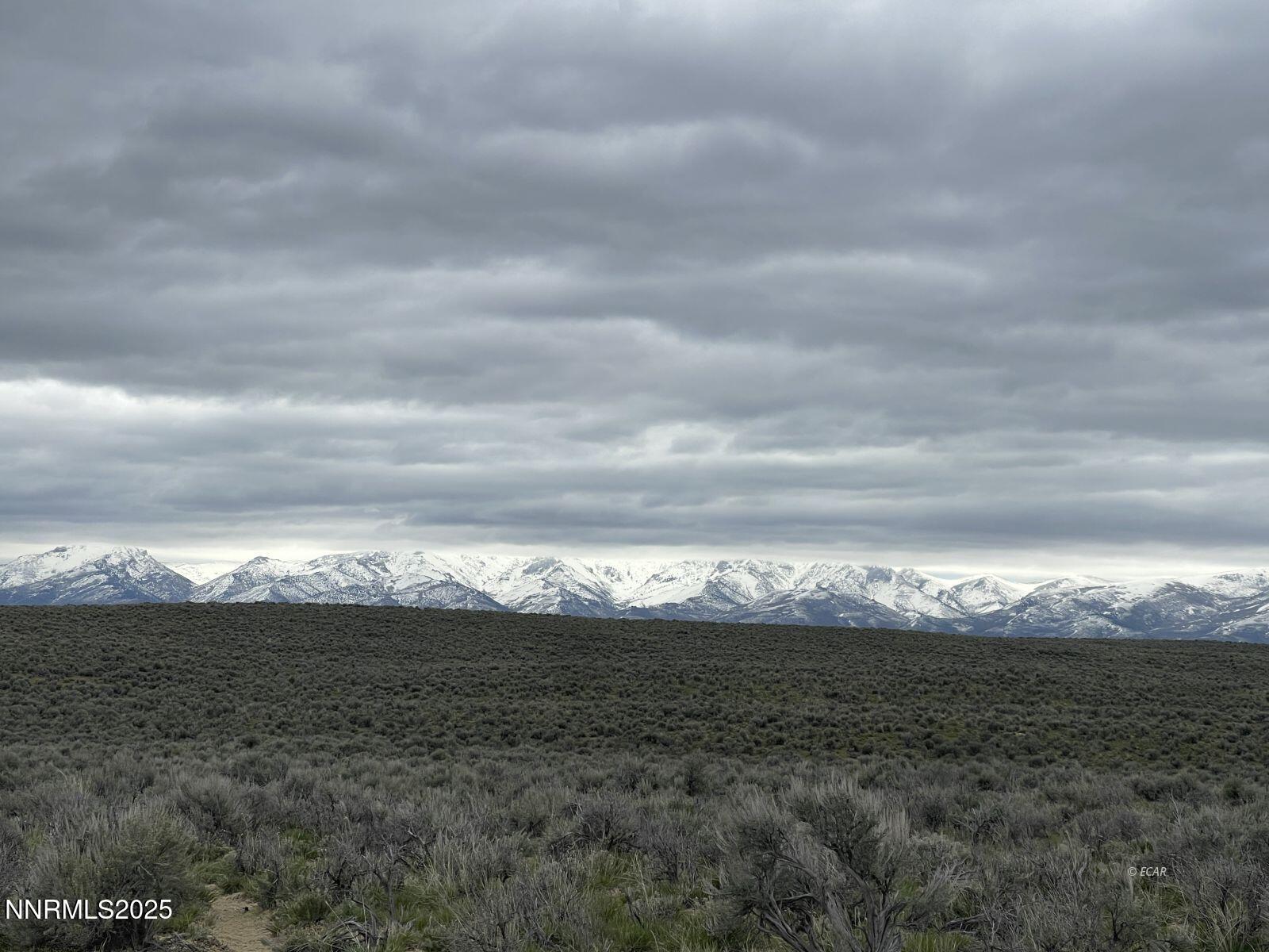 Image 2: Topaz