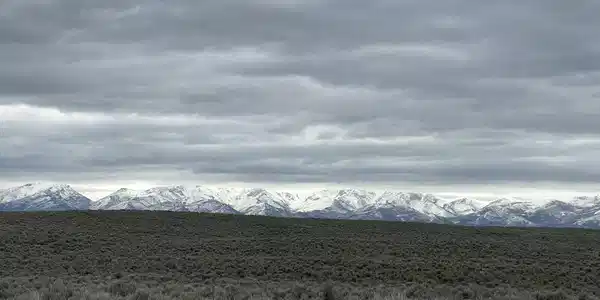 Image 2: Topaz