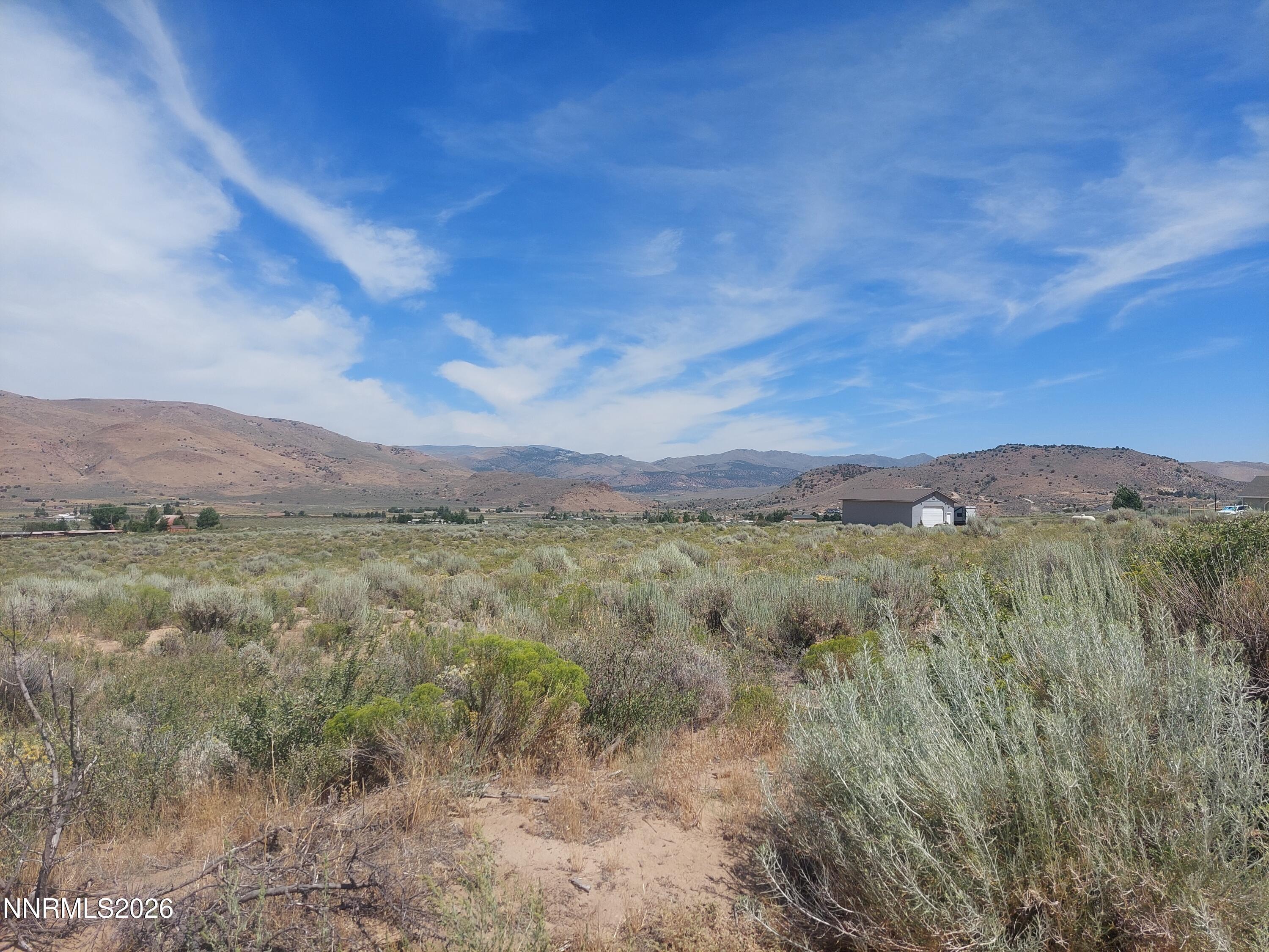 Image 1: 550 Appaloosa 2