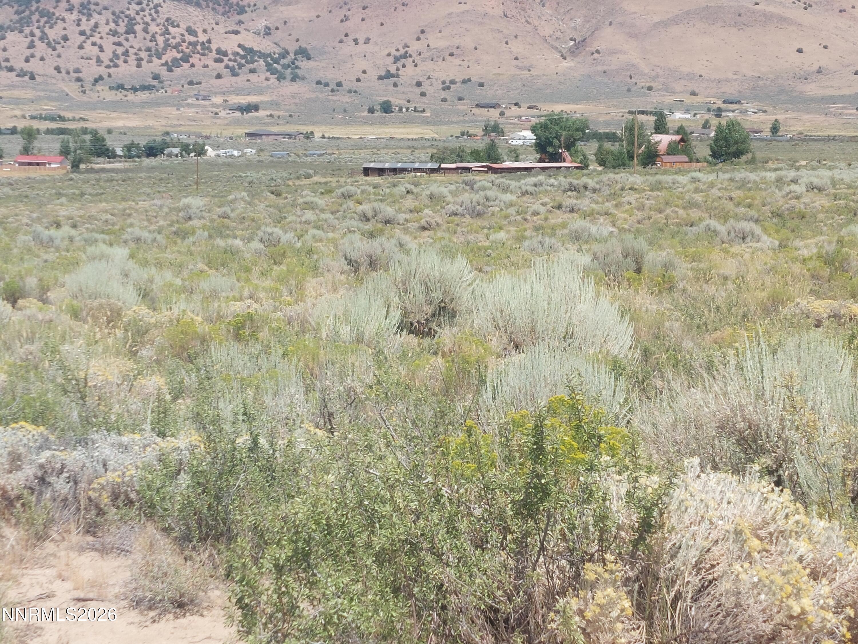Image 3: 550 Appaloosa 1