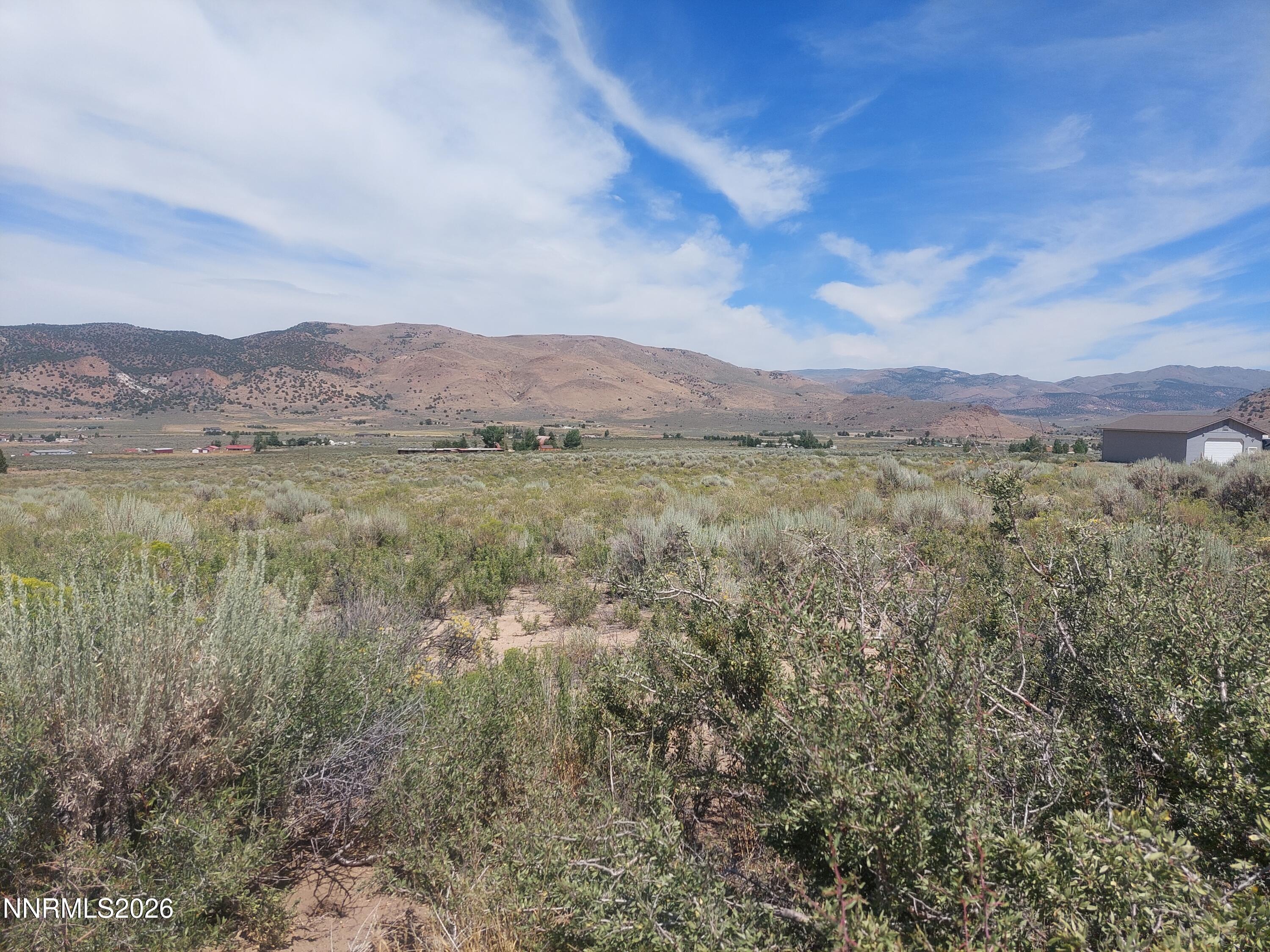 Image 4: 550 Appaloosa 4