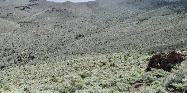 0 Microwave Road
