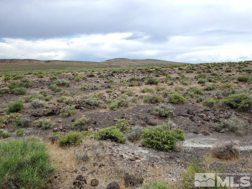 Image 4: Photo 4