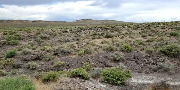 Image 4: Photo 4