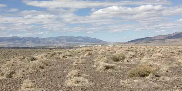 Image 4: image1