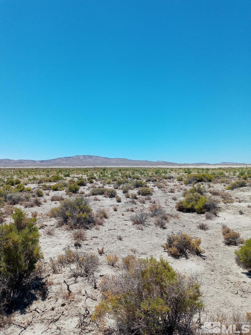 Image 4: Photo 4