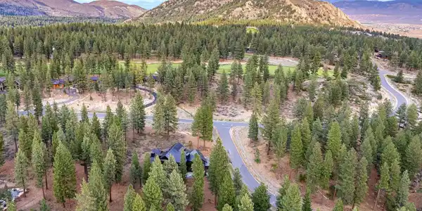 Image 4: Nestled in the Pines