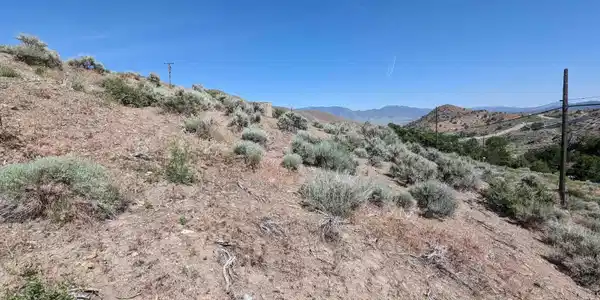 Image 2: Photo 2