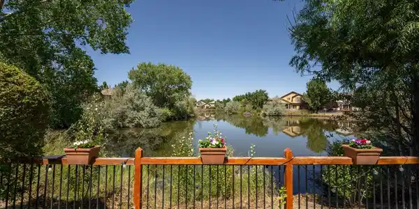 Image 2: 1-1