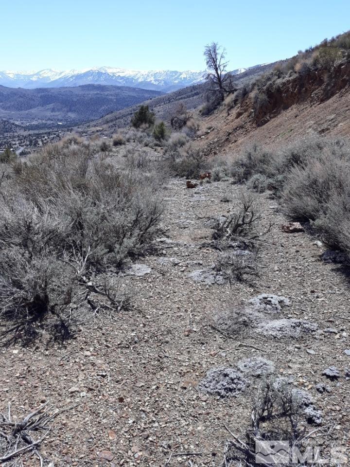 Image 4: Photo 4