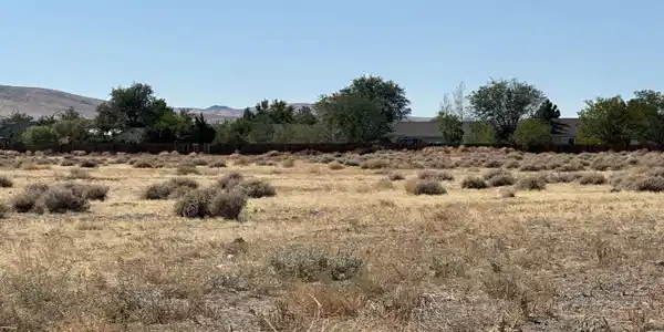 Image 3: Photo 3