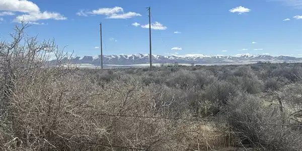 SR 290