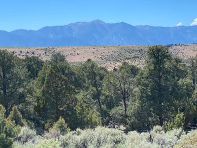 TBD China Springs (east lot 3)