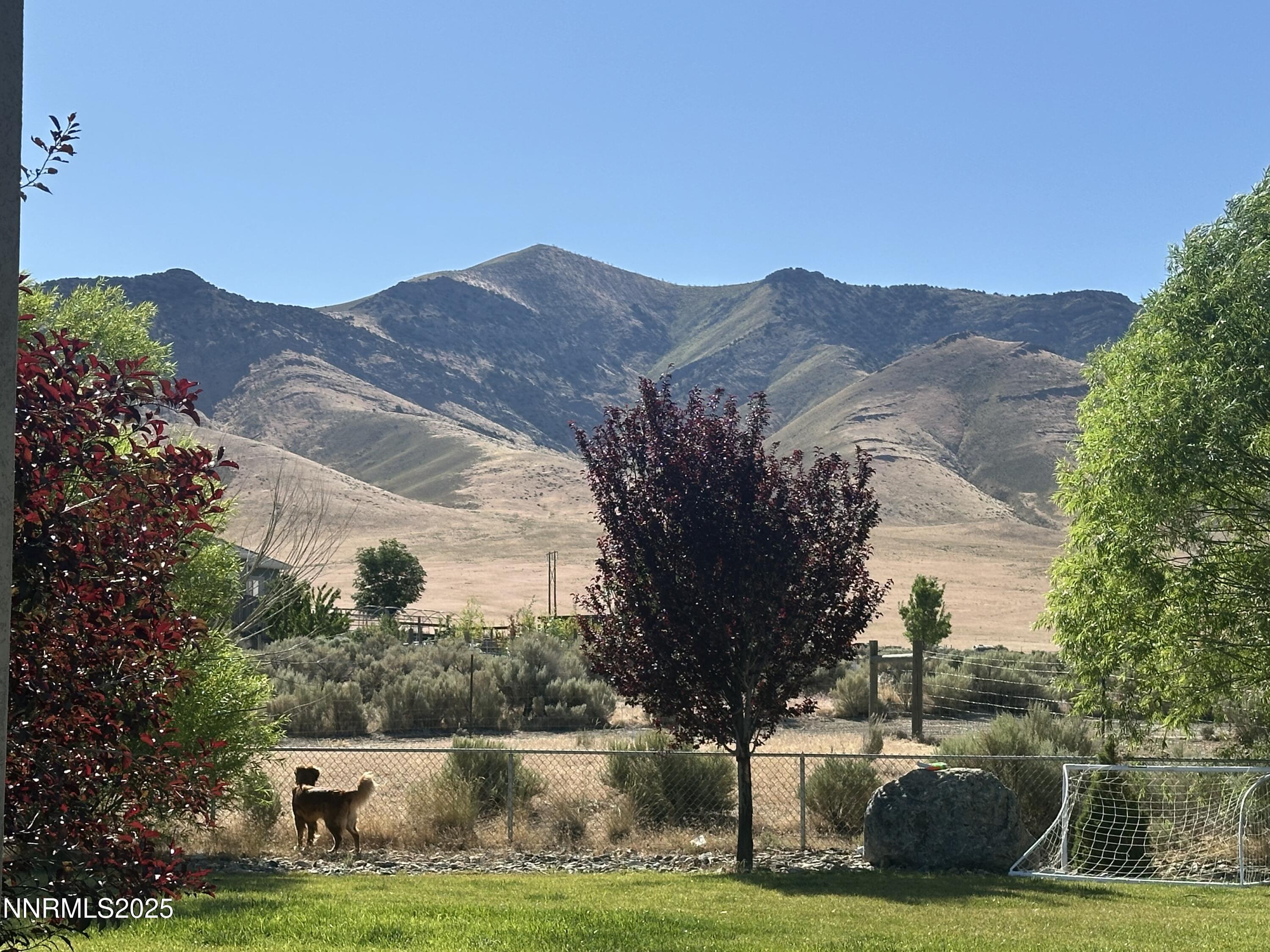Image 3: IMG_1298 (1)