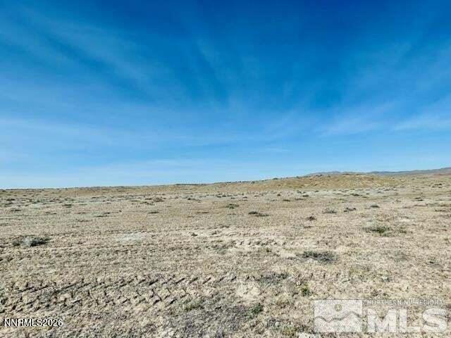 Image 4: 20250409031447738156000000-o