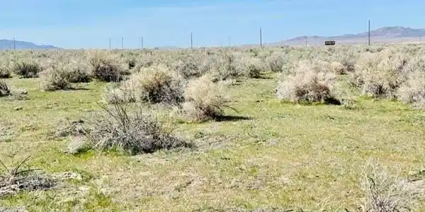 Image 3: 2