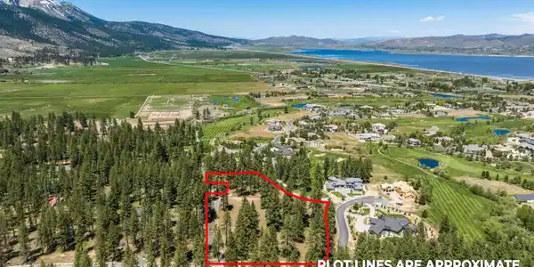 Image 3: Photo 3