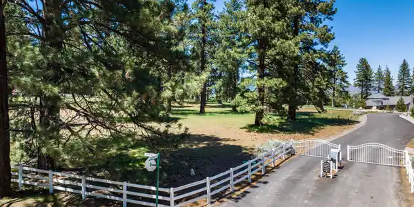 Image 4: Photo 4