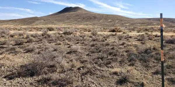 05029921 Riata Road