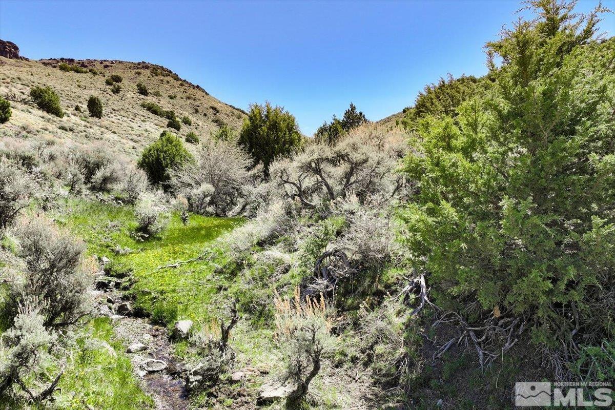 Image 1: Photo 1