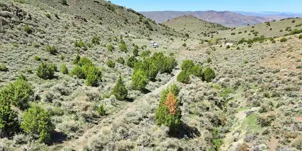 Image 3: Photo 3