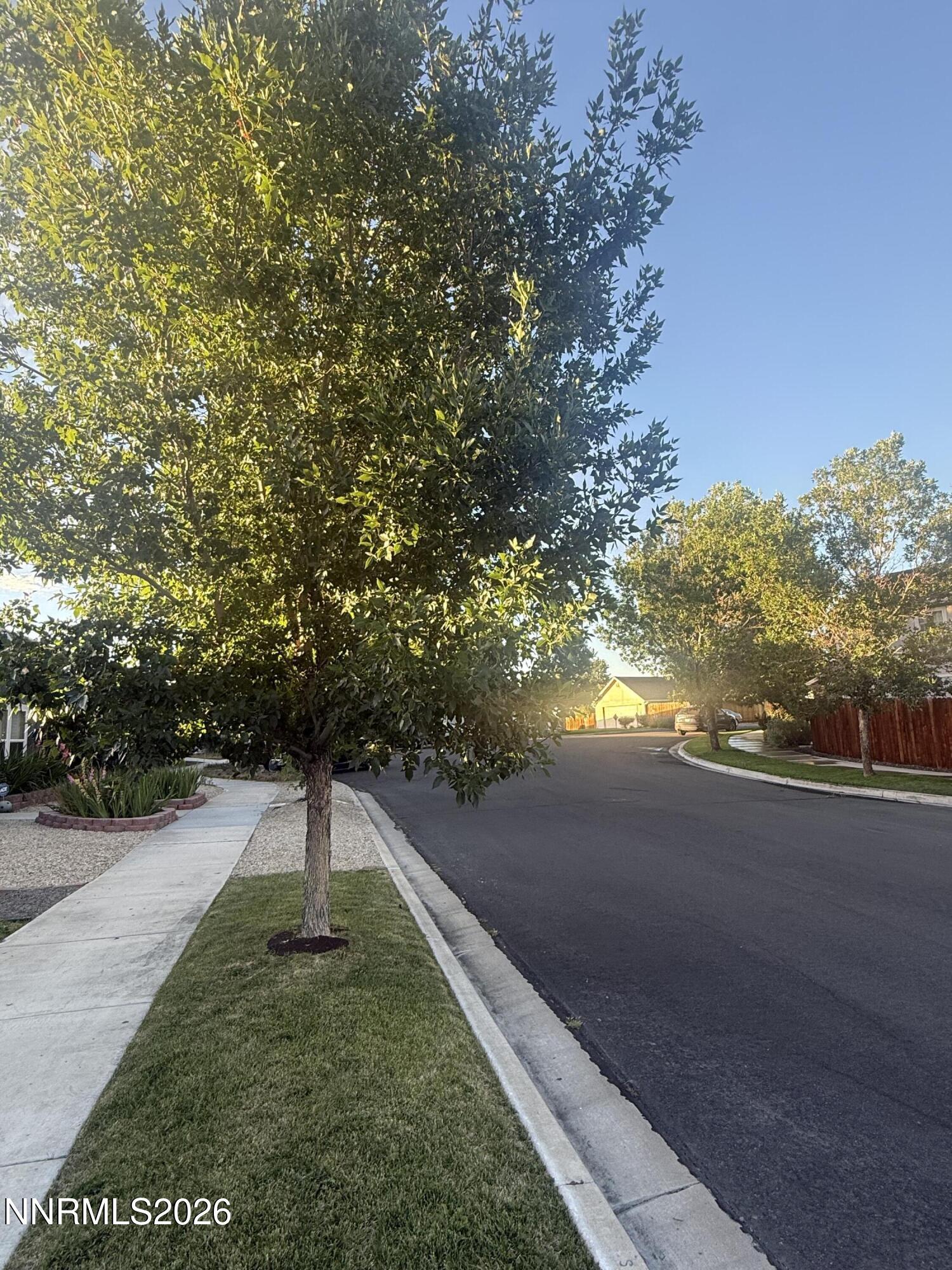 Image 3: street view