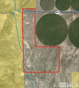 358 Acres Shoshone Road