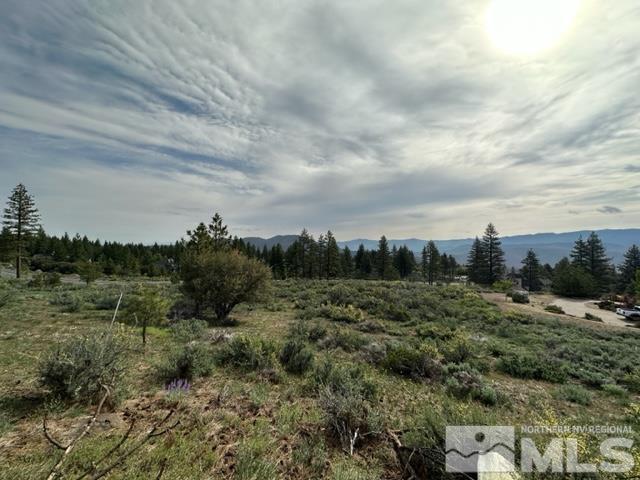 Image 3: Photo 3