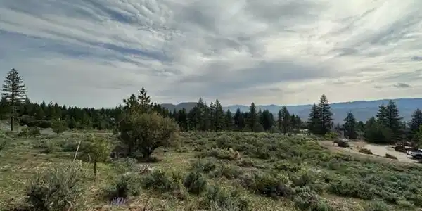 Image 3: Photo 3