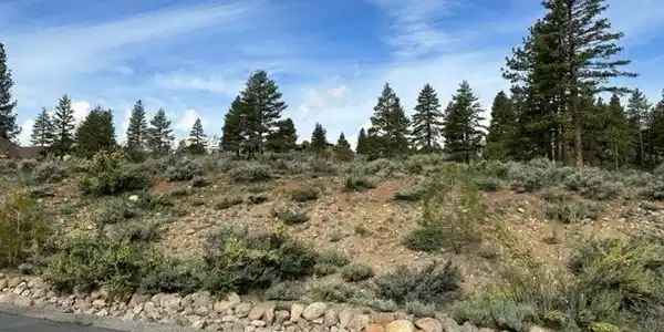 Image 4: Photo 4