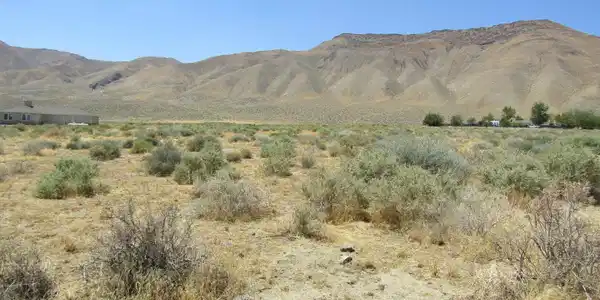 Image 2: Photo 2